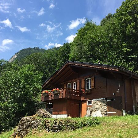 Chalet Julian Lutschental Екстер'єр фото